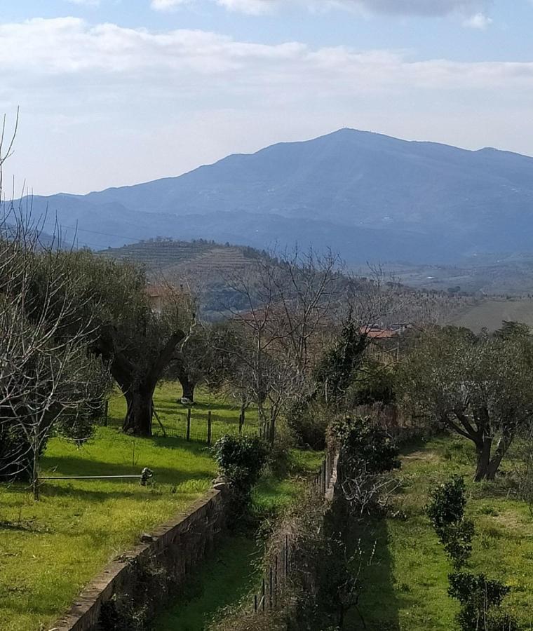 Azienda Agricola Cafaro Grazia - Cilens Aurea Villa Vallo della Lucania Esterno foto