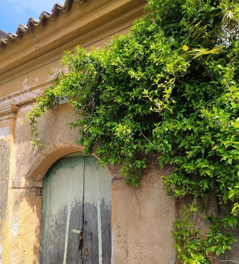 Azienda Agricola Cafaro Grazia - Cilens Aurea Villa Vallo della Lucania Esterno foto