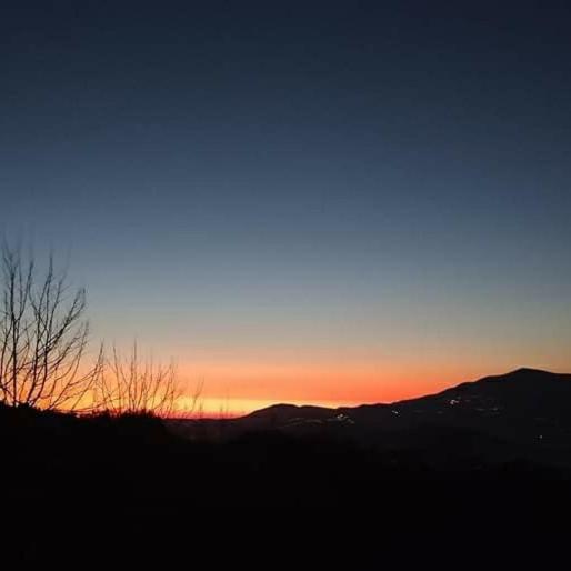 Azienda Agricola Cafaro Grazia - Cilens Aurea Villa Vallo della Lucania Esterno foto